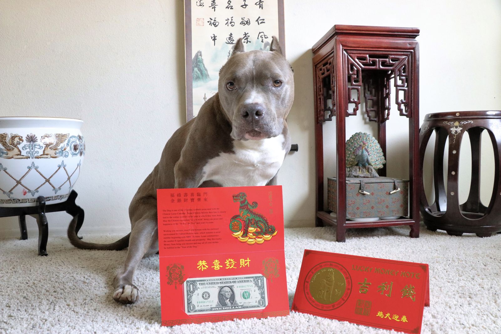 Diesel - Calendar Photos 2018 — photo 2