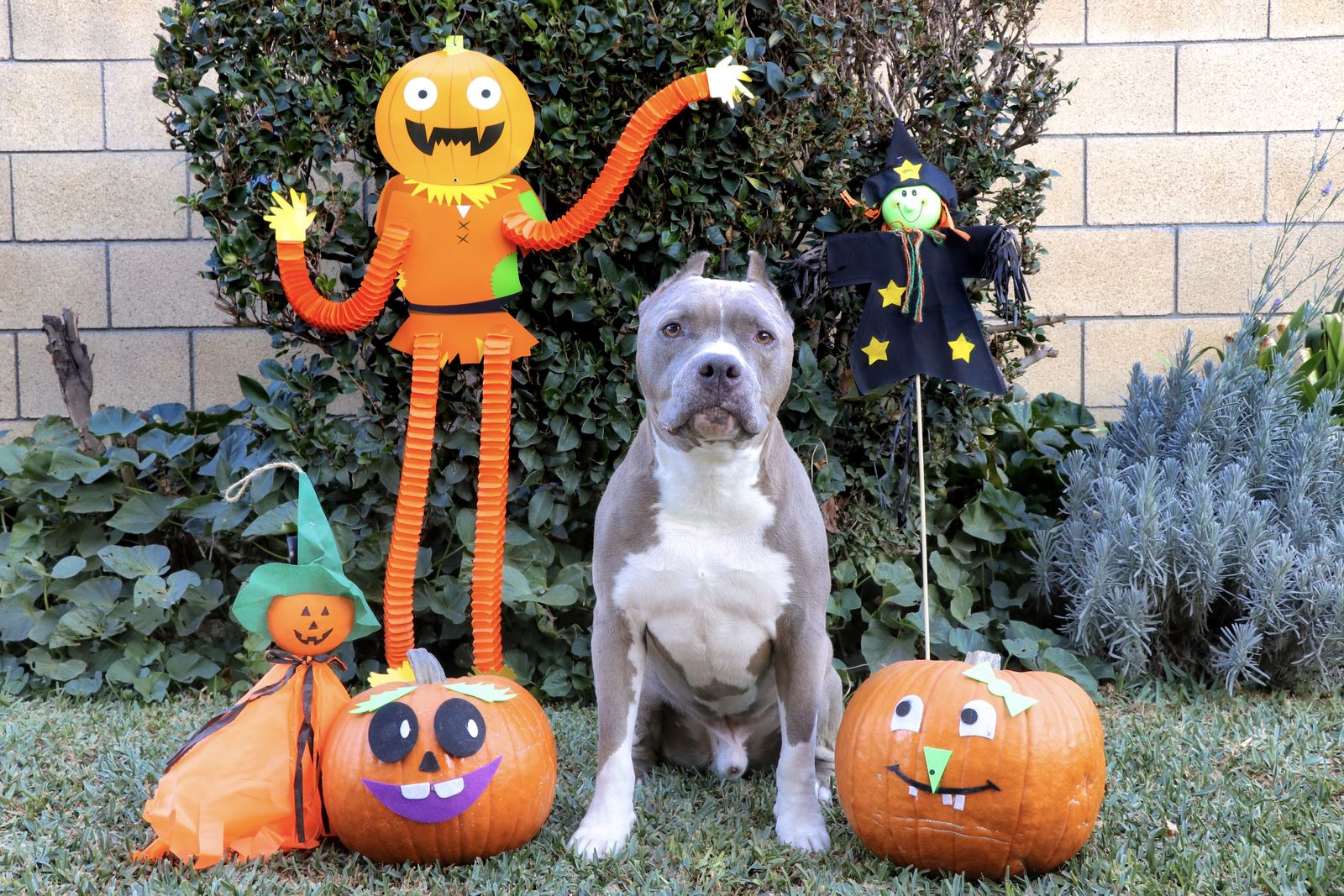 Diesel - Calendar Photos 2018 — photo 10