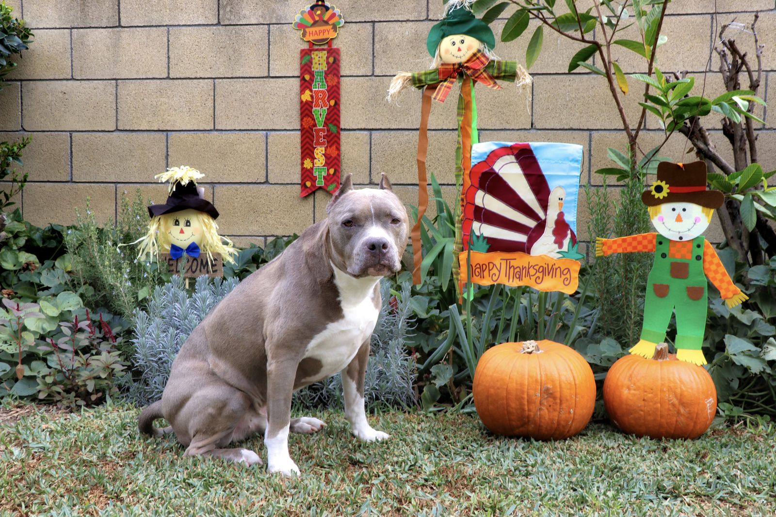 Diesel - Calendar Photos 2018 — photo 11