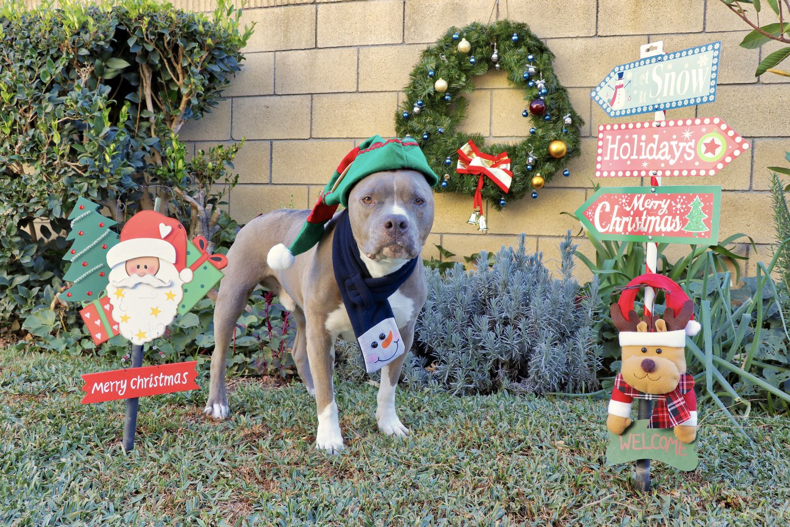 Diesel - Calendar Photos 2018 — photo 12