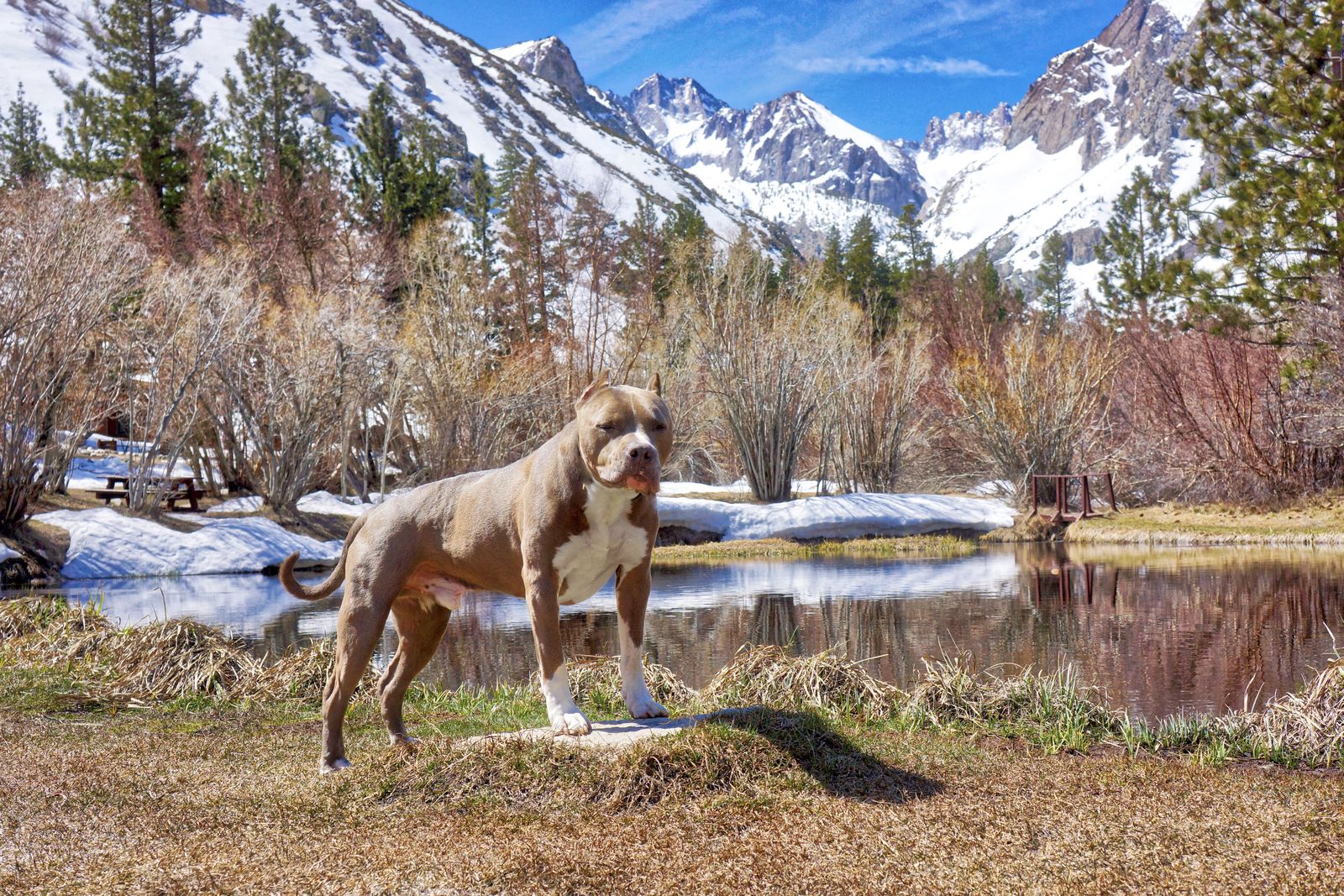 Diesel - Calendar Photos 2018 — photo 13