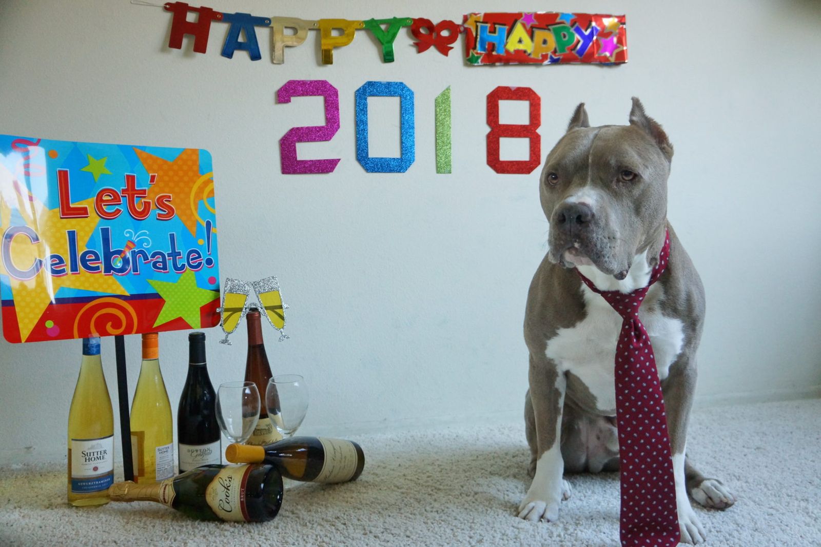 Diesel - Calendar Photos 2017 — photo 14