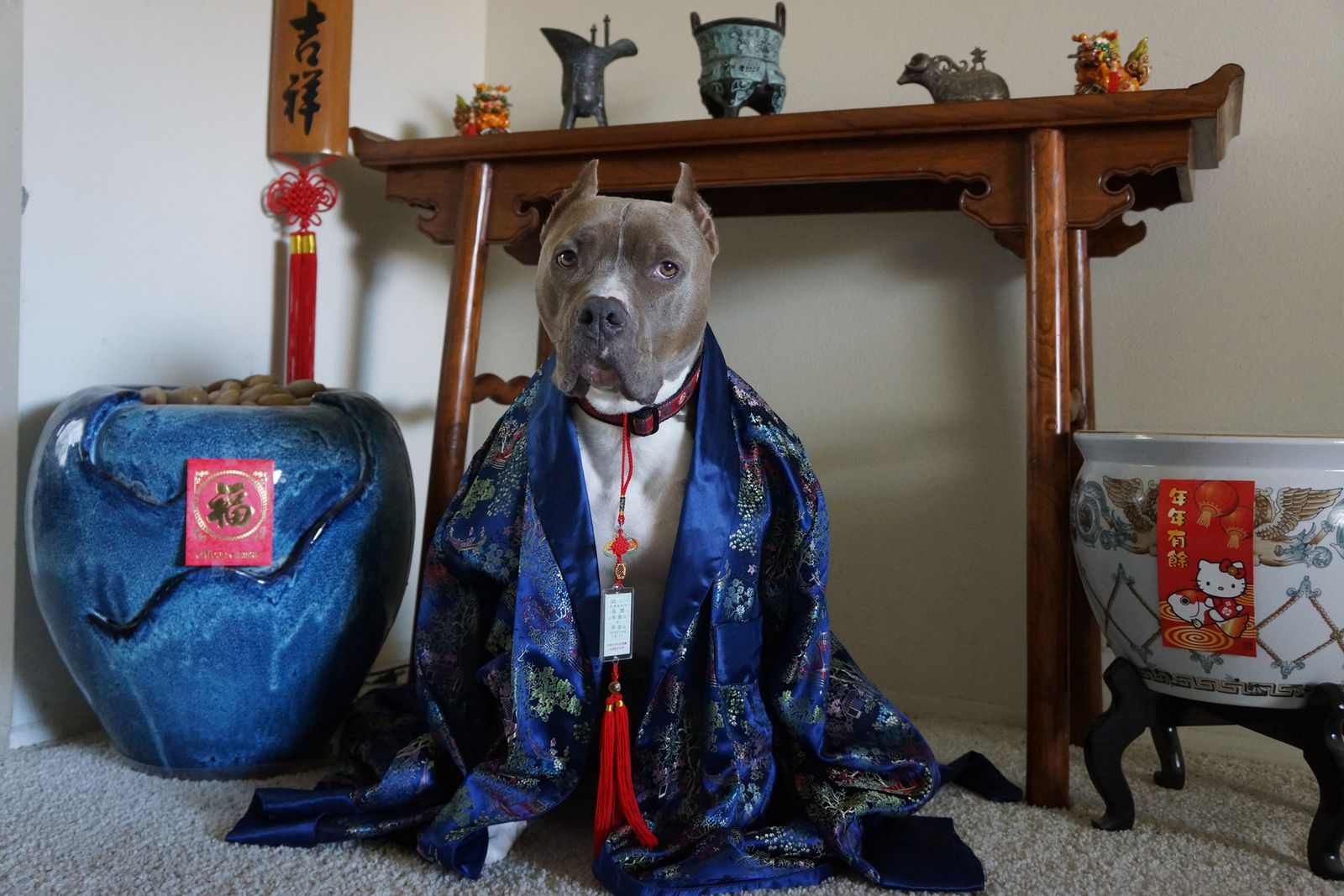 Diesel - Calendar Photos 2014 — photo 2