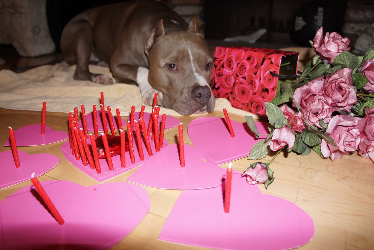Diesel - Calendar Photos 2014 — photo 3