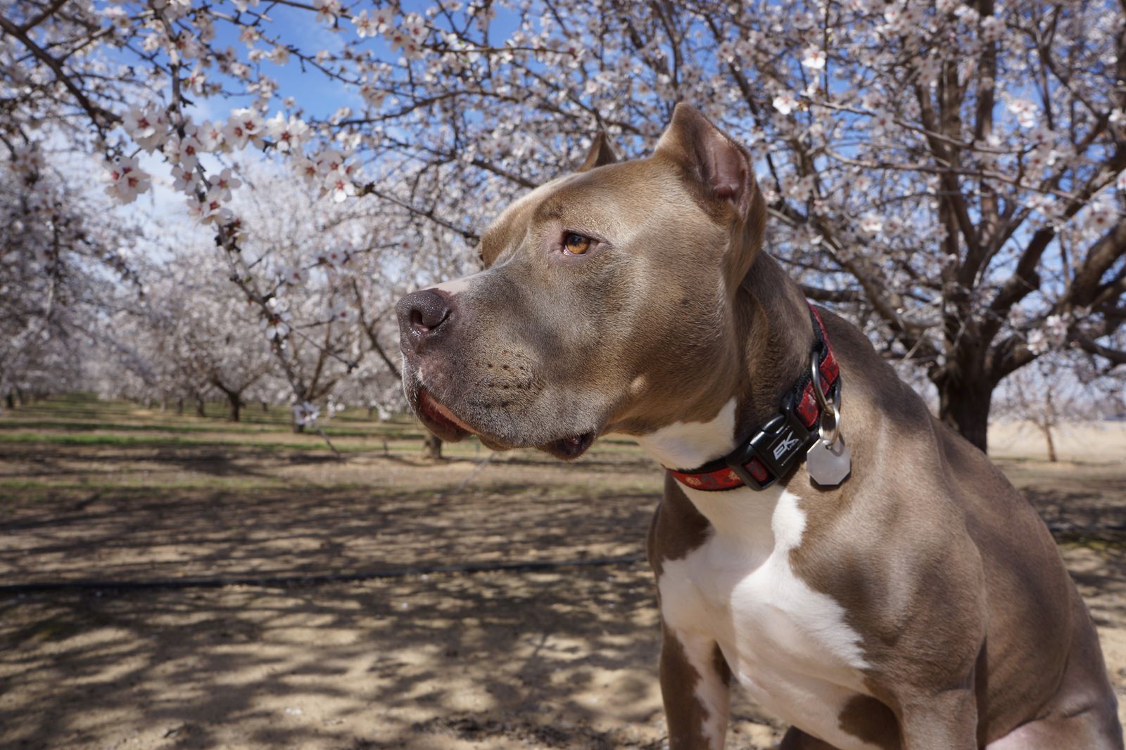 Diesel - Calendar Photos 2014 — photo 4