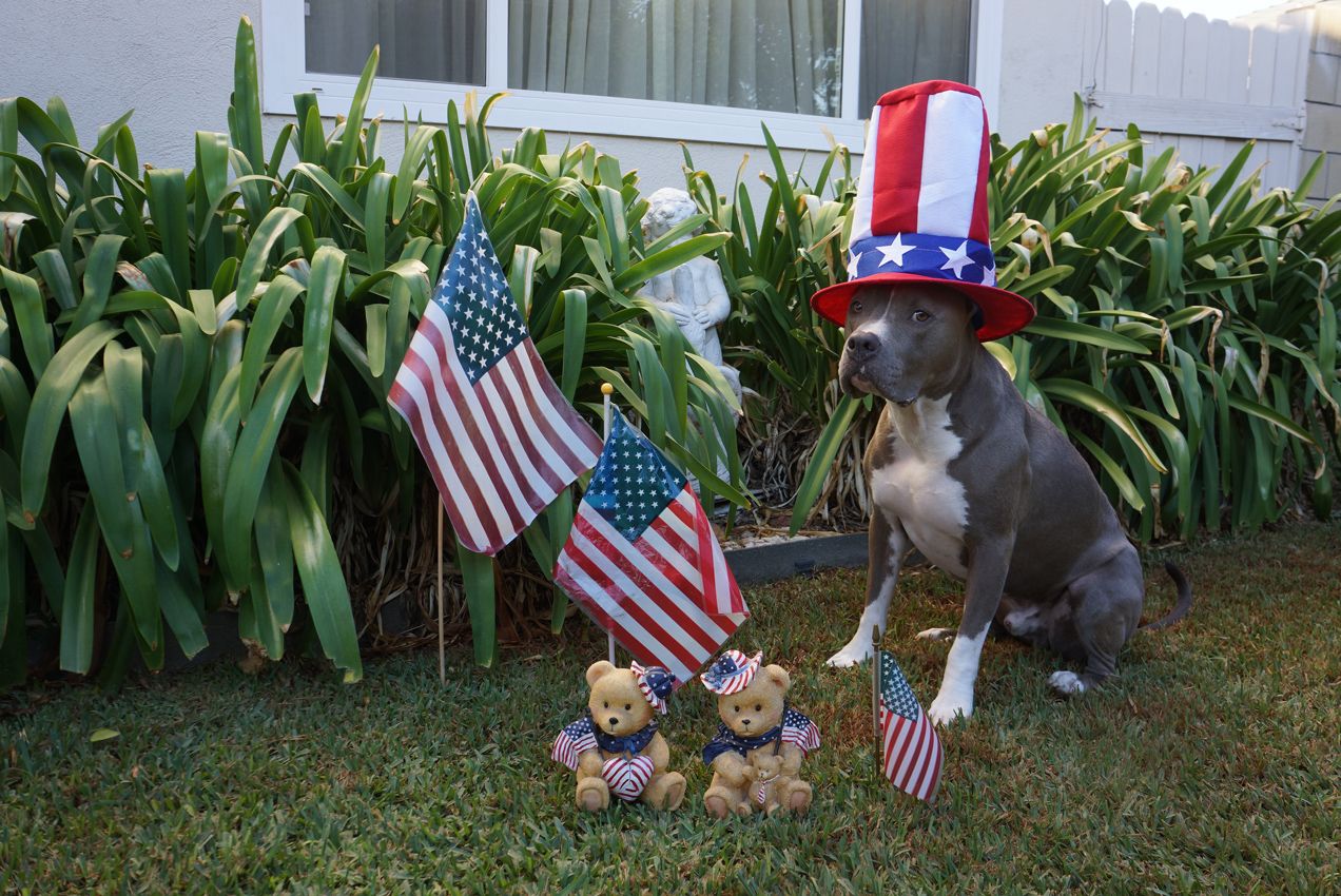 Diesel - Calendar Photos 2014 — photo 7