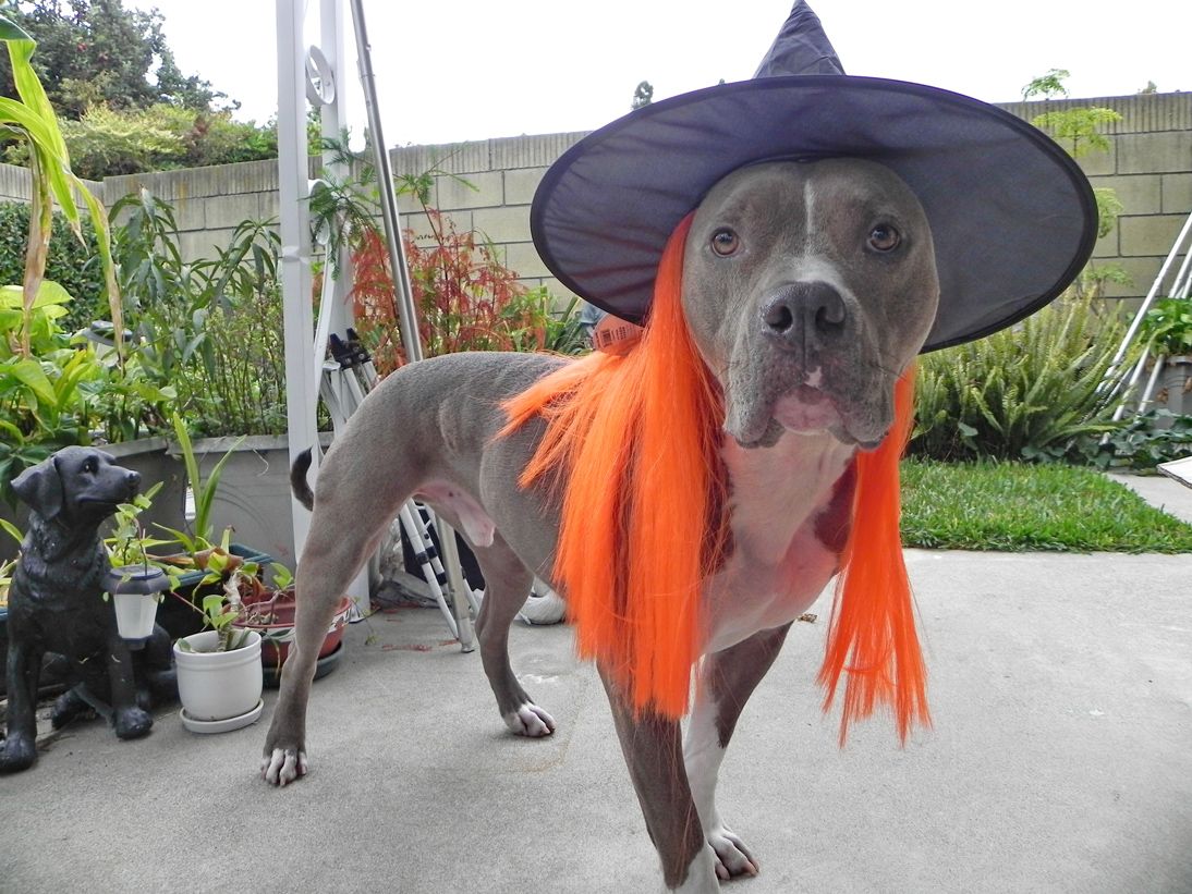 Diesel - Calendar Photos 2014 — photo 10