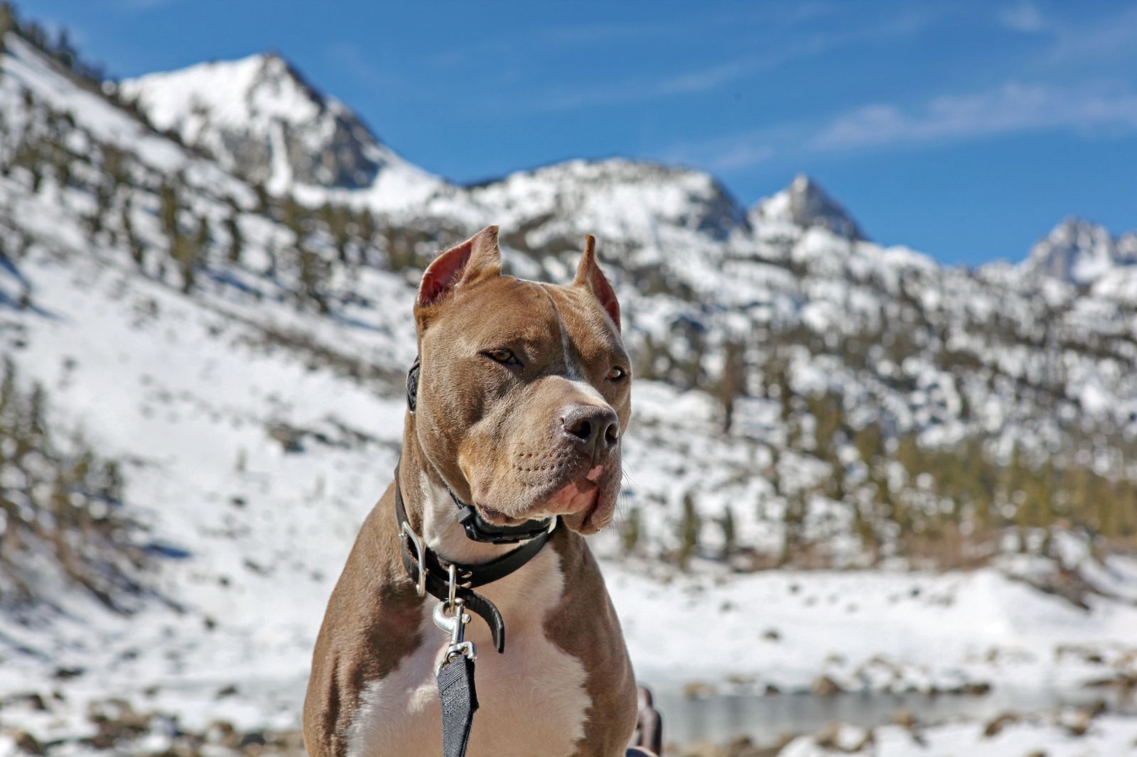 Diesel - Calendar Photos 2015