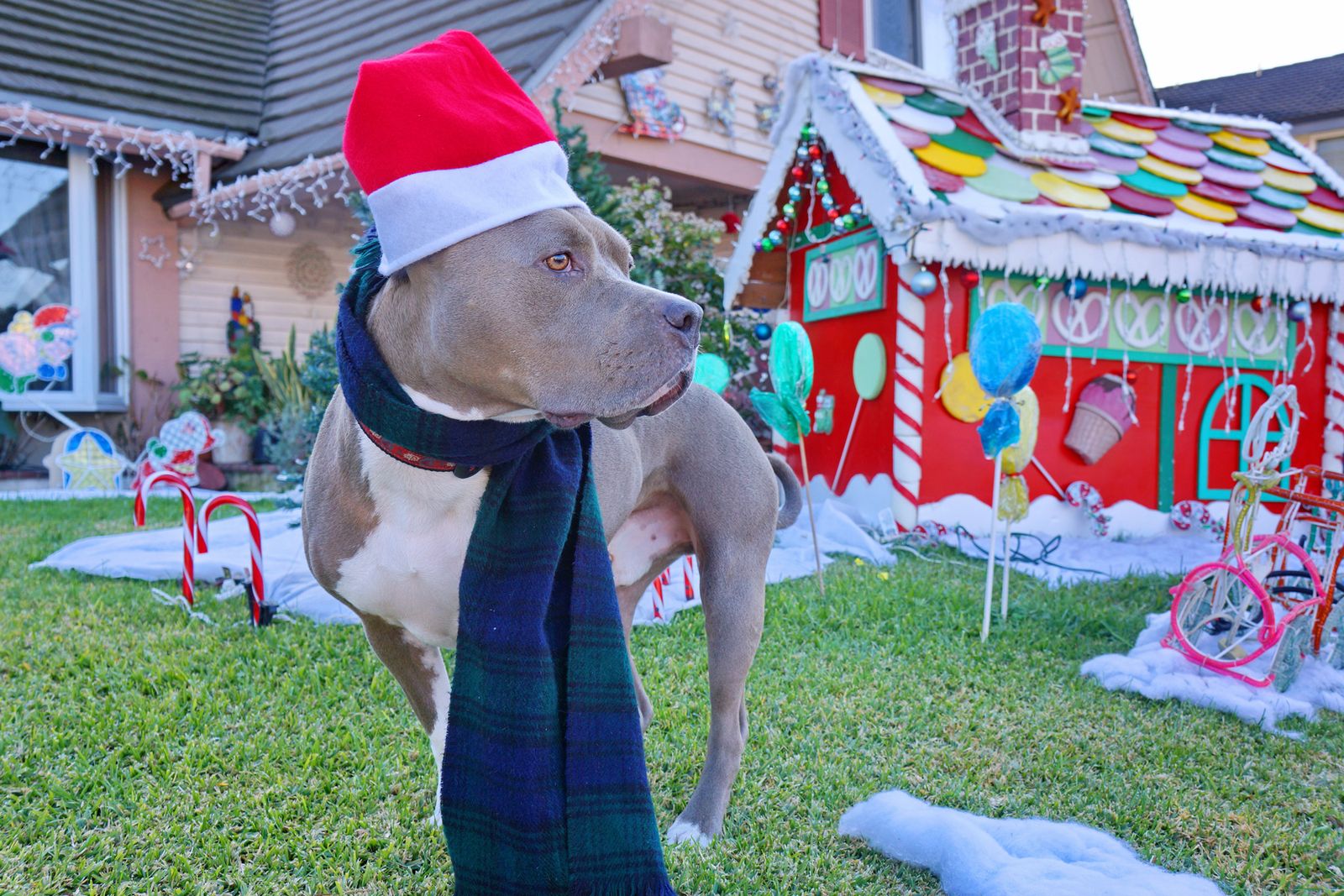 Diesel - Calendar Photos 2015 — photo 2