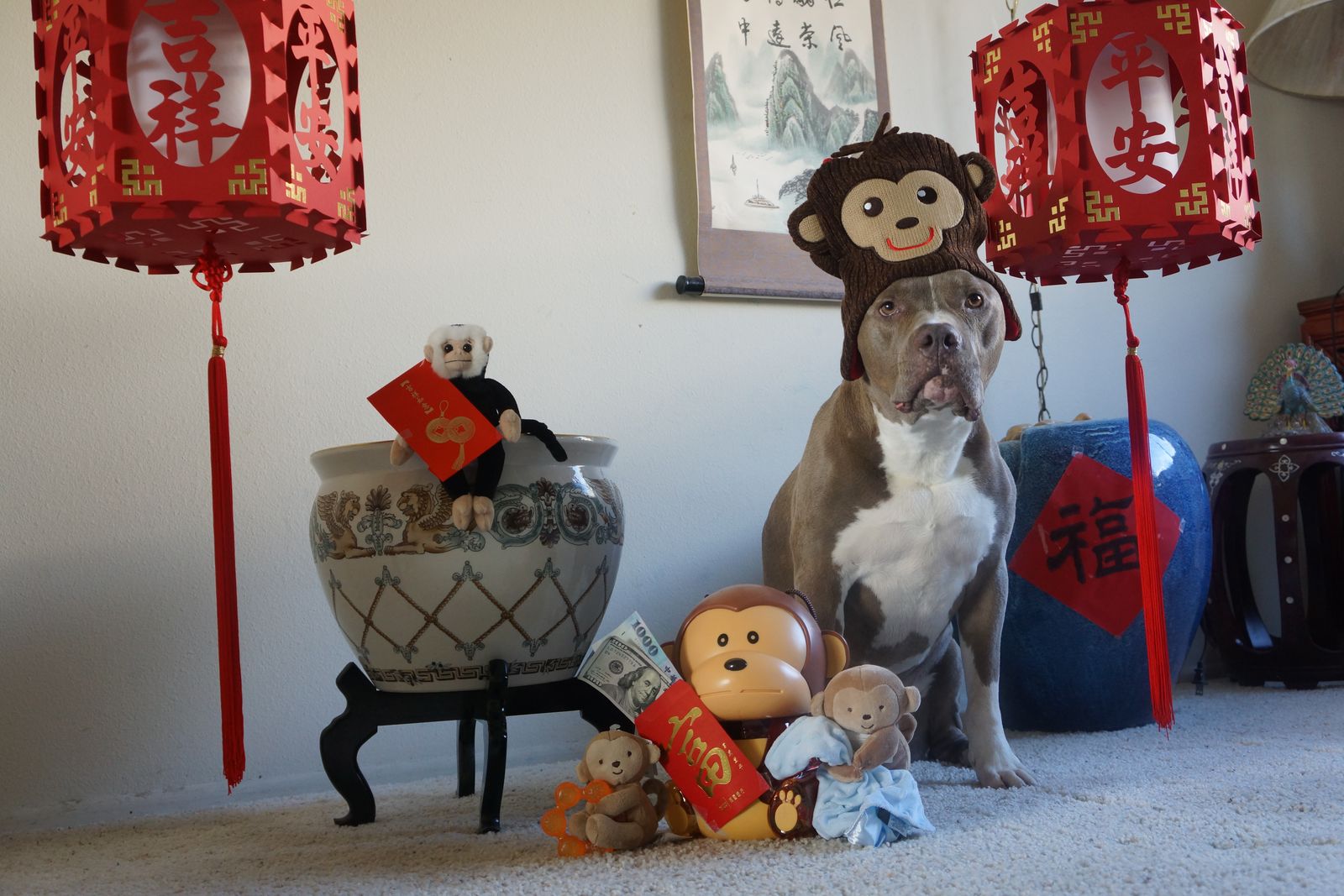 Diesel - Calendar Photos 2016 — photo 2
