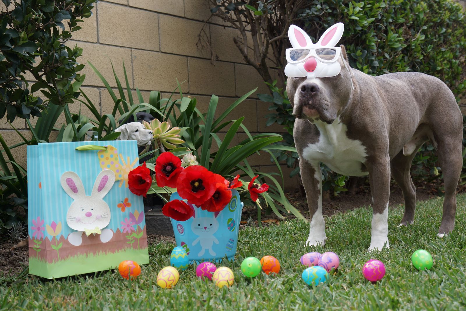 Diesel - Calendar Photos 2016 — photo 3
