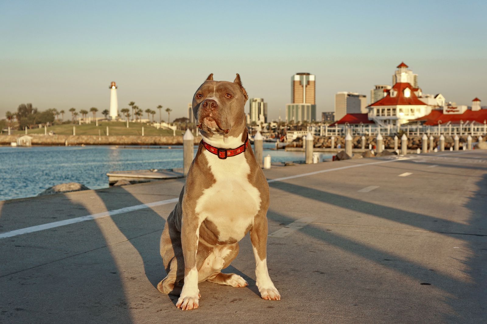 Diesel - Calendar Photos 2016 — photo 13