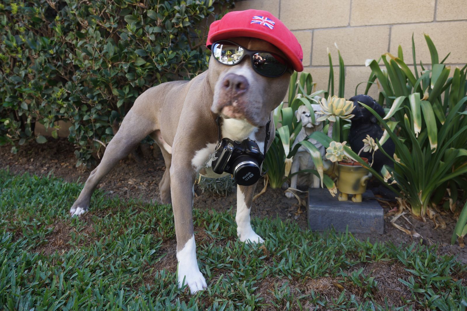 Diesel - Lean, mean machine!
