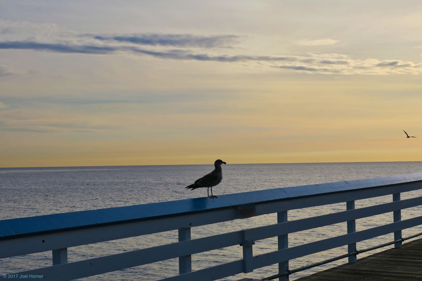 San Clemente Pier - 2017.12