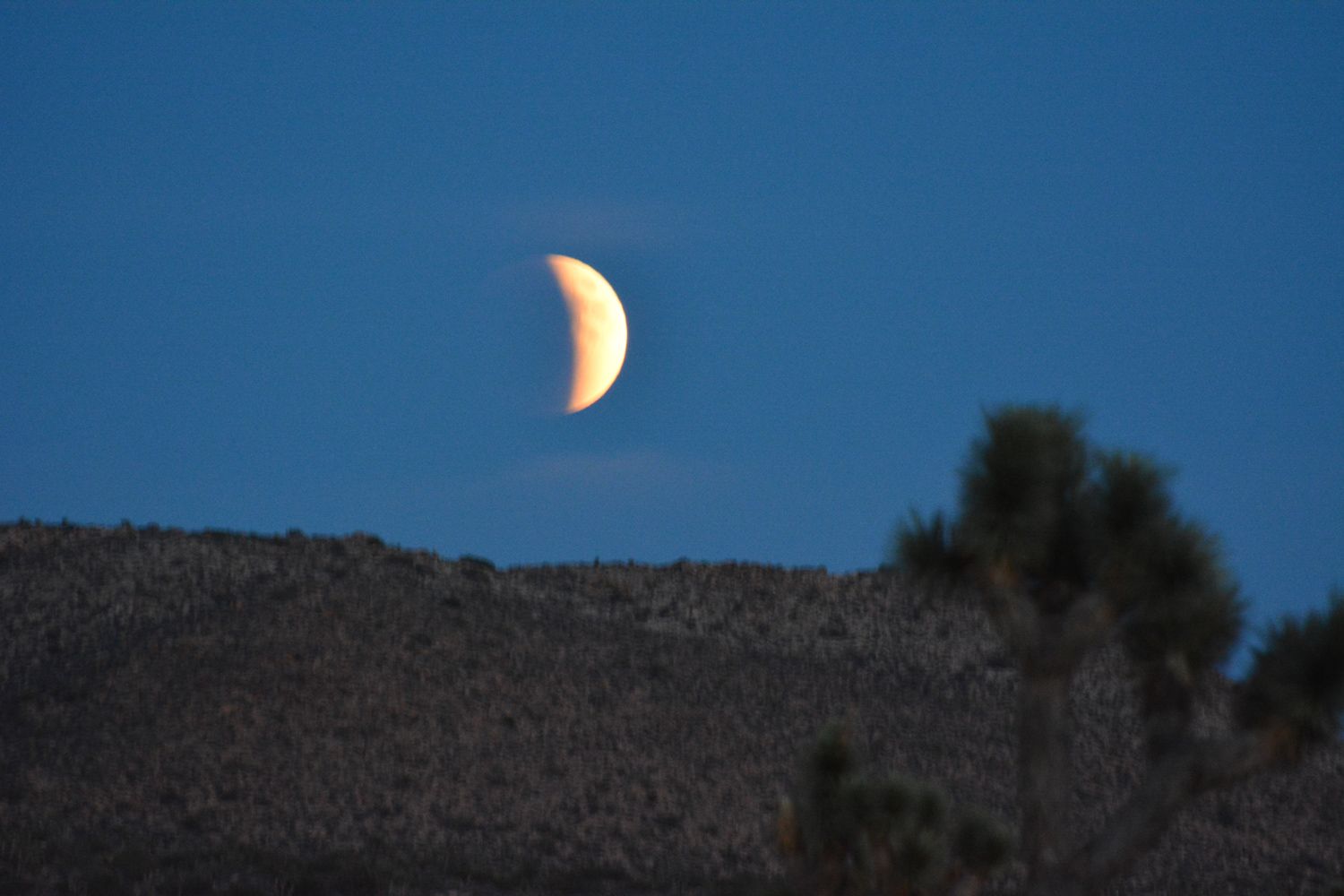 Joshua Tree National Park - 2015.10