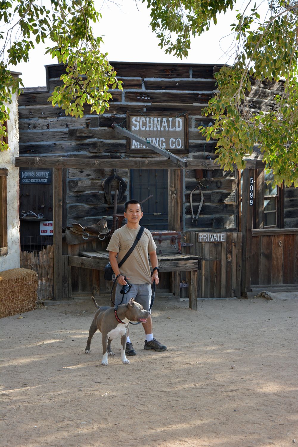 Joshua Tree National Park - 2015.10 — photo 4